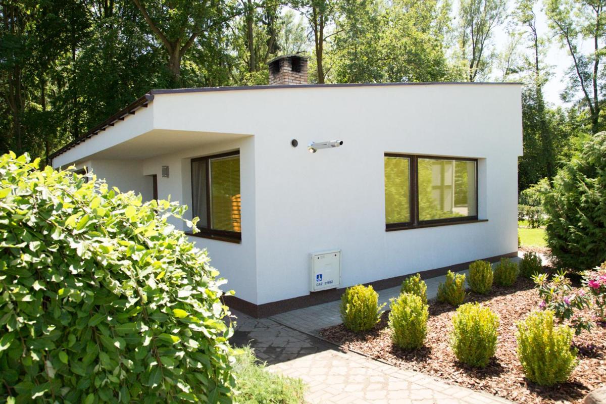 Camping Oaza Blonie Kornik Domki Standard Plus - 3 Pokoje Esterno foto