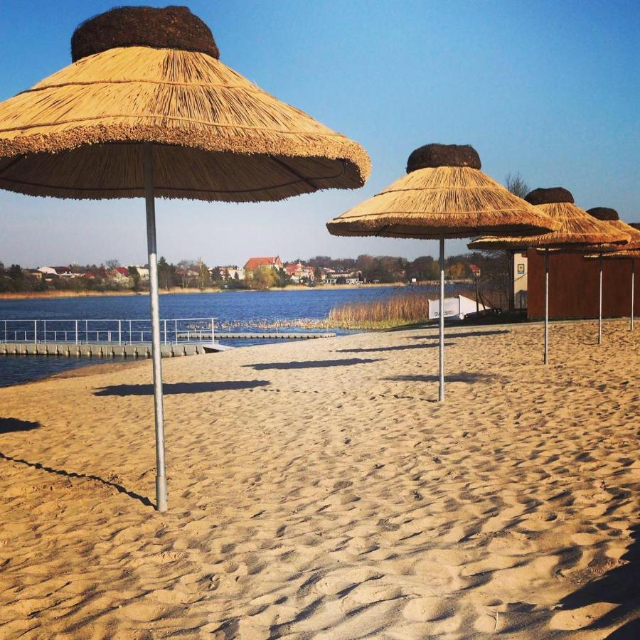 Camping Oaza Blonie Kornik Domki Standard Plus - 3 Pokoje Esterno foto